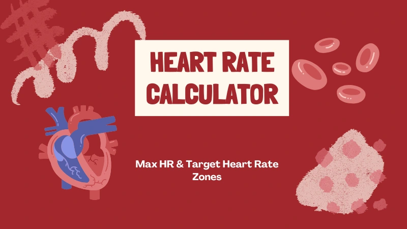 Heart Rate Calculator – Max HR & Target Heart Rate Zones