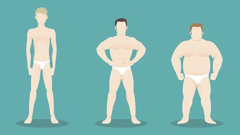 Body Type Calculator – Find Your Somatotype Ecto Meso Endo
